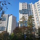 더포레스타공인중개사사무소 이미지