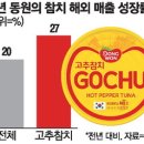 인기참치