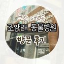 조양래동물병원 | [조양래 동물병원]부산 대연동 조양래 동물병원 후기 + 정기 예방접종에 대해서