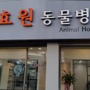 효원동물병원 이미지