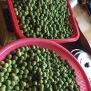 커피허브 이미지