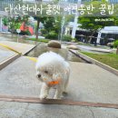마이스페이스다산미술교습소 | 다산현대아울렛 주차 아이와 가볼만한곳 애견동반 꿀팁