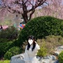 황포수산 이미지