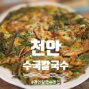 칼국수랑 파전도 맛있는데 겉절이도 맛있는 천안 동남구칼국수맛집 수국칼국수 방문후기