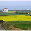 바다가있는풍경 이미지