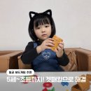 놀이수학&보드게임 | 5세부터 초등까지! 칠교놀이 응용버전 퍼즐 보드게임 - 겟패킹 꿀잼 후기