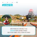 대도어촌체험휴양마을 이미지