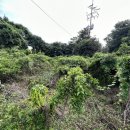 토산2리 이미지