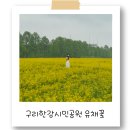 구리한강시민공원 | 노란 유채꽃이 반기는 구리한강시민공원 후기
