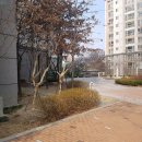서울정덕초등학교 이미지