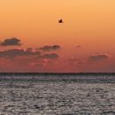 반암농장 이미지