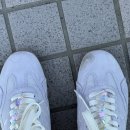 종대농장 | 여름 비에이 투어, 여름 삿포로 2일차