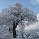 광릉수목원로 이미지