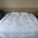 프롬에이치 더베스트호텔 제주성산점 이미지