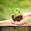 경희대 초은 태권도장 이미지