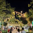 세계多 문화체험(7월 13일) | 울산 9월 가볼만한곳 태화강 국가정원 야시장 위치 운영시간 주차 체험 및 먹거리 등
