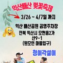 🔊 24년 (3) 익산배산 벚꽃축제 공연(종료) 이미지