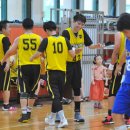 고양시청  체육관 이미지