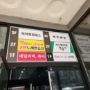 정글비 대전관평점 이미지