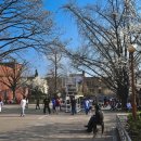 대학로8길 이미지