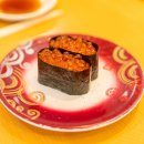 일본 북해도 여행 삿포로 스시 맛집 토리톤스시 내돈내산