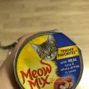 페이버릿츠