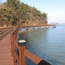 소라면 가사리 이미지