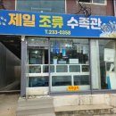 수원-0359 티스토리