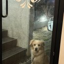 다노이 | 제주 동쪽 바다가 보이는 숙소 [다노이게스트하우스] 여자 4인실 2박 묵은 후기