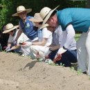 김현기농장 이미지