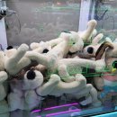 퍼니랜드 이미지