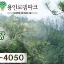 용인로뎀파크교회