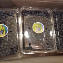 박동호농장 이미지