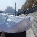 2024년 김천마라톤대회 10km후기 및 25년 대구마라톤대회 10km신청