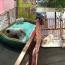 이씨정육점 이미지