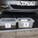 도도수완점 이미지