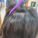 머리짓다 이미지