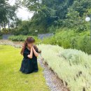 애견의 정원 이미지