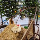 (주)에이드 | 무료 사과 애사비 에이드와 굿즈주는 봉화 사과 성수동 팝업 솔직후기 ~12.07 ★★★★☆