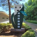 애견운동공원(하절기) 이미지