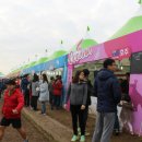 이태리꼬치 이미지