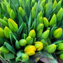 행진농장 이미지