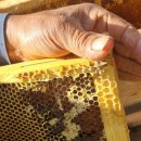 고래골농장 이미지