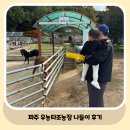 18개월 아기랑 생애 첫 동물 먹이체험 파주 우농타조농장 가을 나들이 갈만한 곳(24개월 미만 무료 입장...