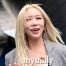 다영 카카오 검색결과