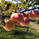 골드농장 이미지