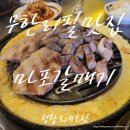 뉴온프라자 | 잊지않고 또 찾아온 시흥 맛집 무한리필 정왕로데오 신마포갈매기