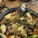 땡기네 노래연습장 이미지