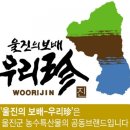 울진비닐 이미지