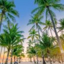 제주보홀 이미지